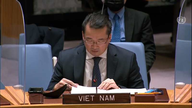 Hội đồng Bảo an thảo luận về công việc của 2 cơ quan trực thuộc do Việt Nam làm Chủ tịch